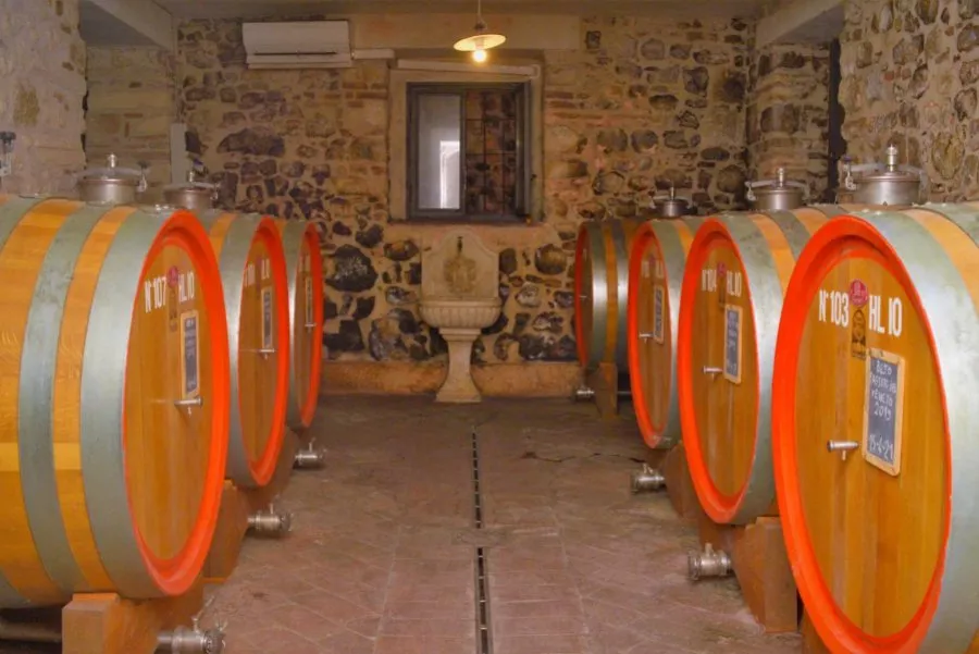 Immagine Blind Tasting 9