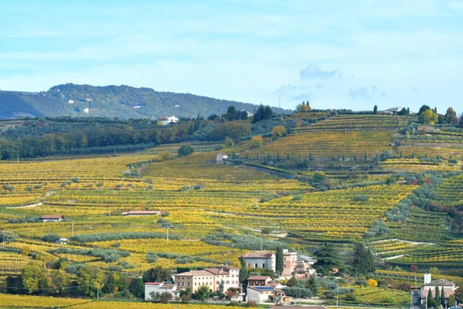 Immagine Blind Tasting 10