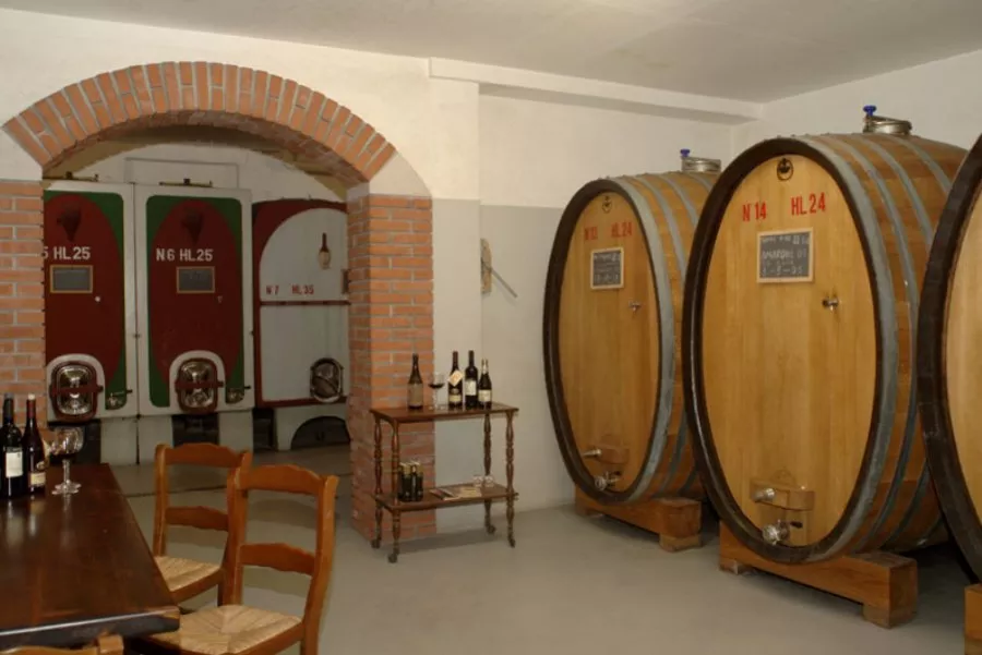 Immagine Blind Tasting 18