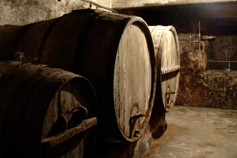 Immagine Blind Tasting 19