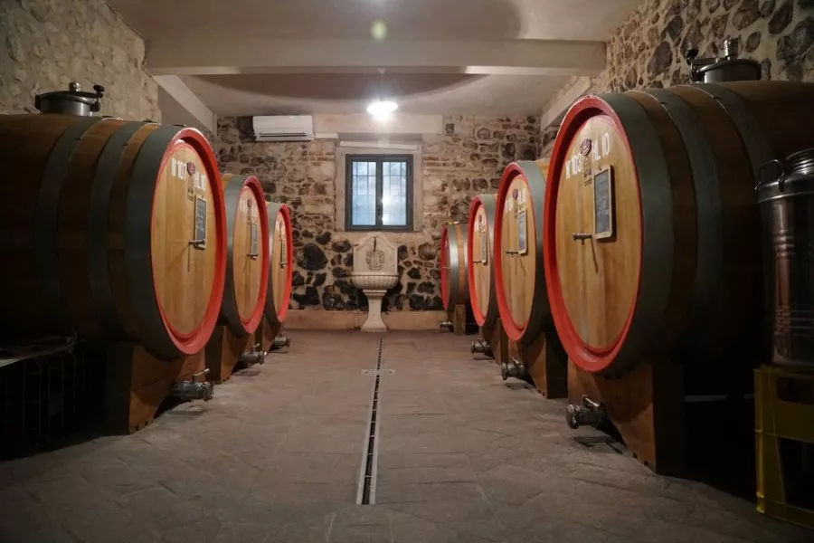 Immagine Blind Tasting 20