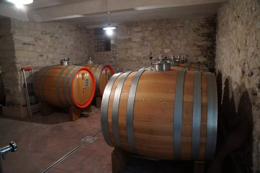 Immagine Blind Tasting 21