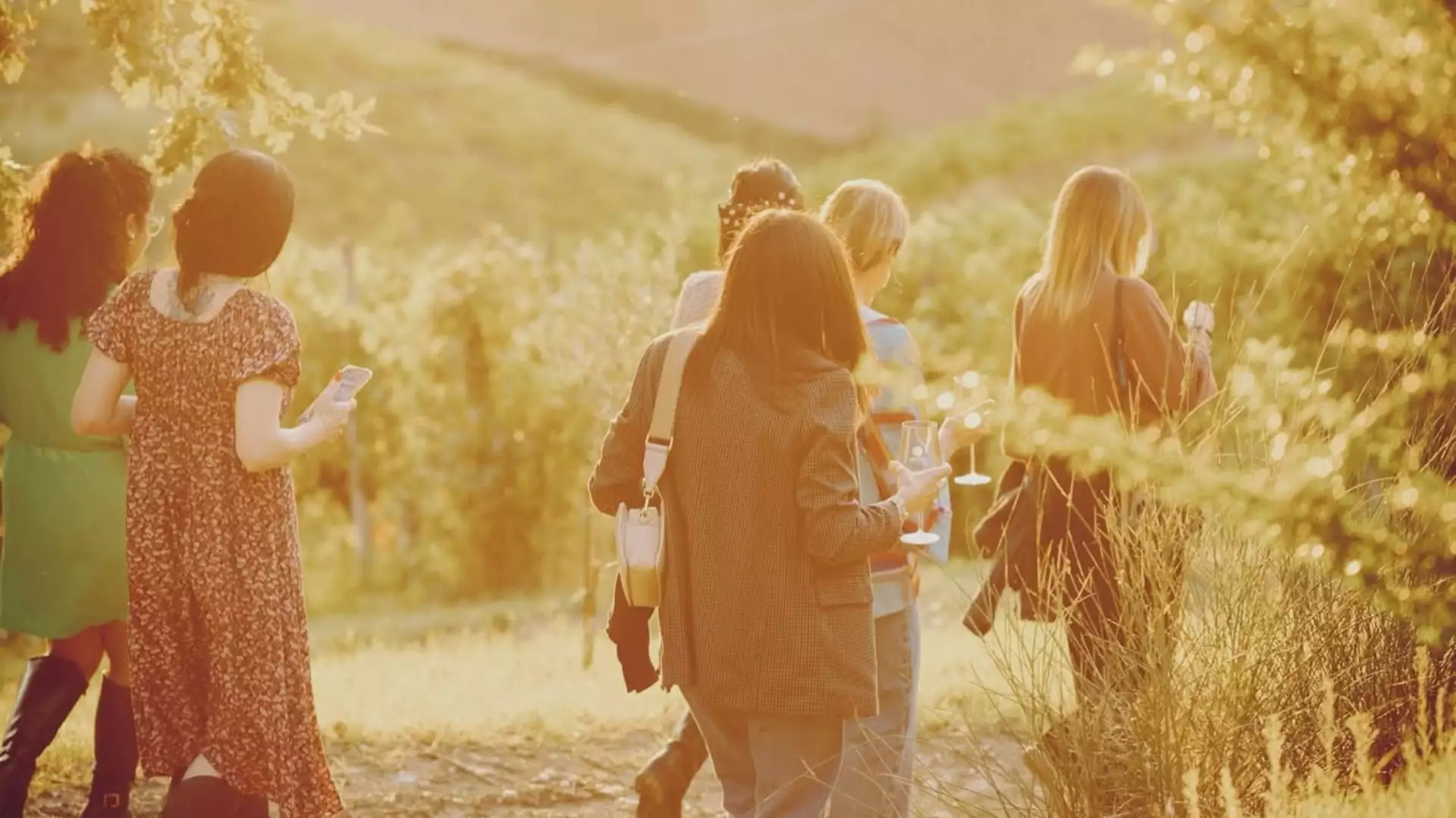 Immagine Wine Experience & Light Lunch con Eccellenze DOP del Territorio 8