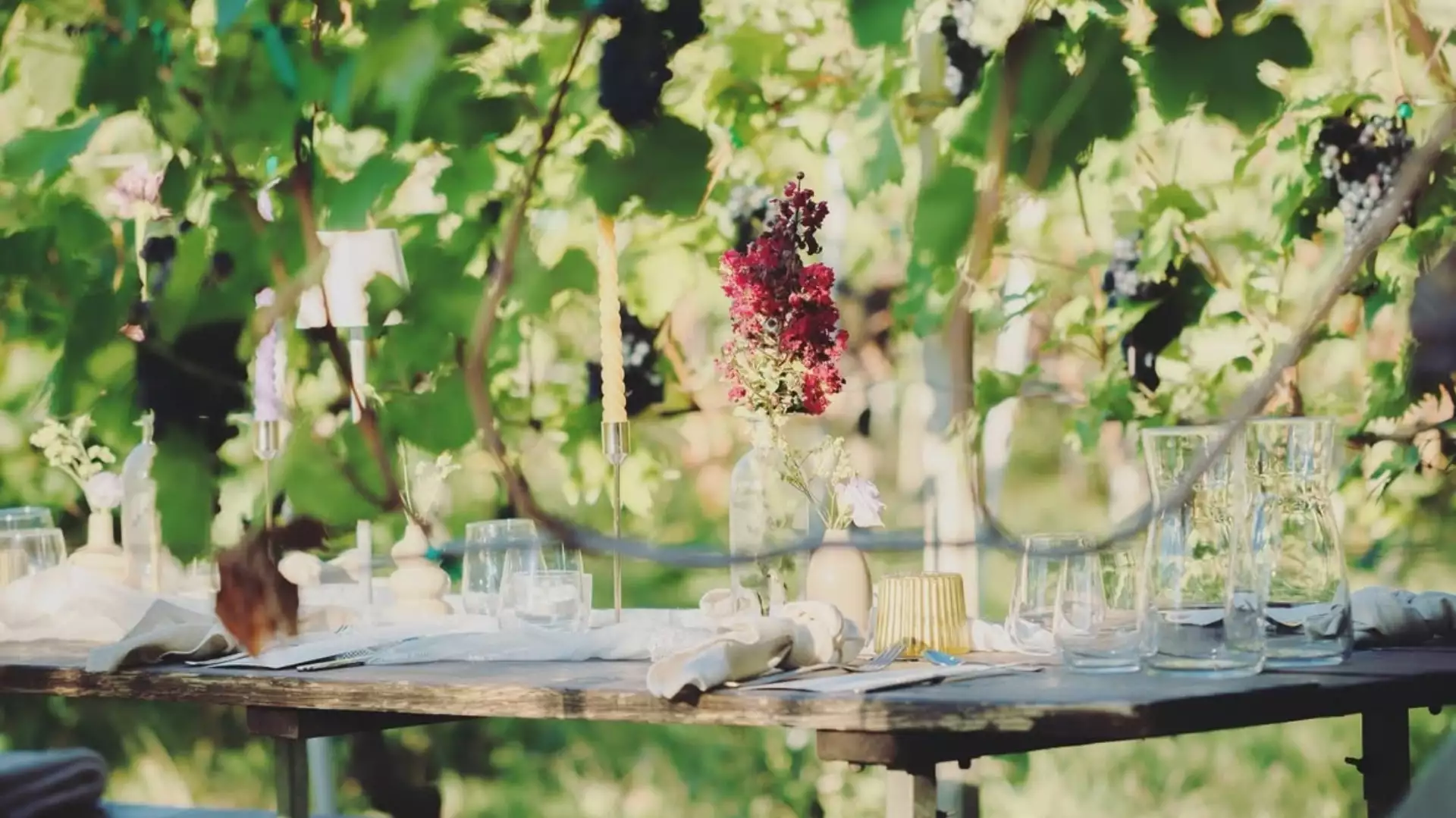 Immagine Wine Experience & Light Lunch con Eccellenze DOP del Territorio 9