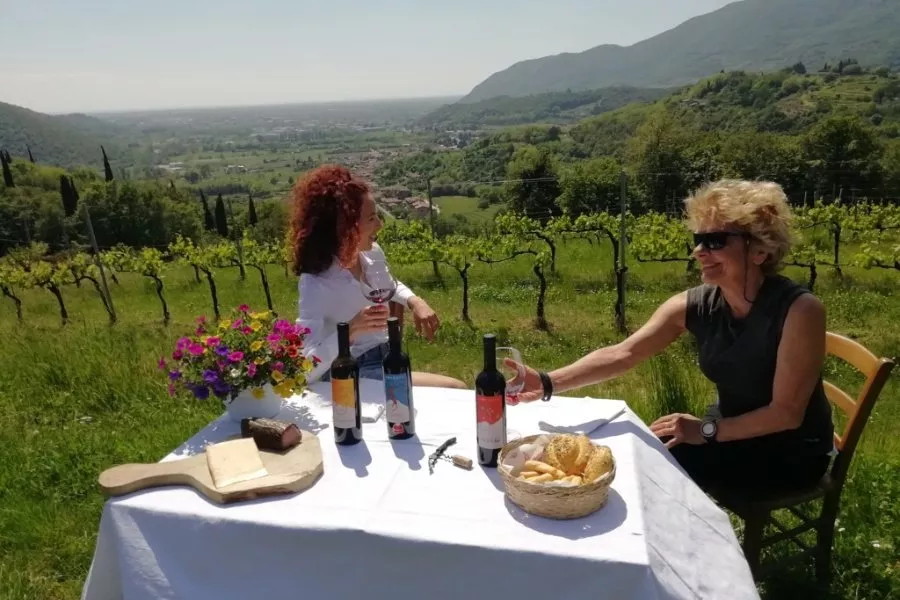 Immagine DEGUSTAZIONE STORICA IN CASCINA 10 Immagine DEGUSTAZIONE STORICA IN CASCINA 10