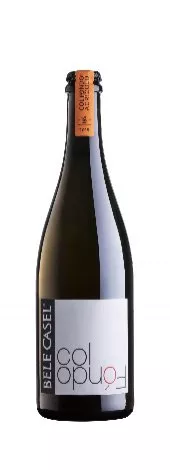Immagine vino ColFondo Agricolo - Colli Trevigiani IGT Immagine vino ColFondo Agricolo - Colli Trevigiani IGT