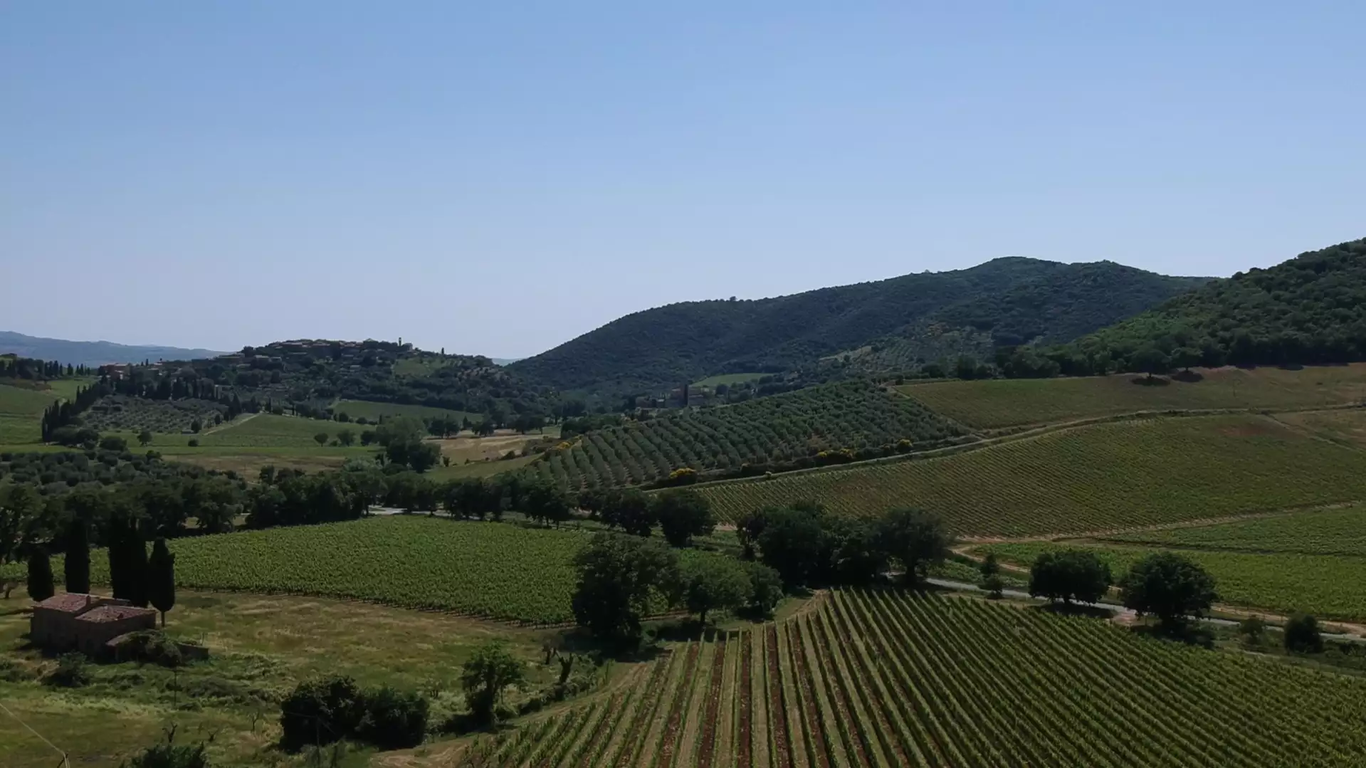 Immagine cantina La Poderina