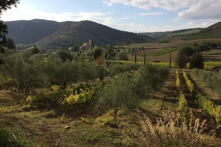 Immagine La Poderina 4