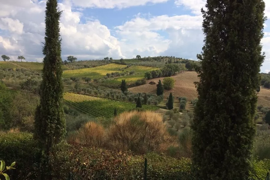Immagine La Poderina 5 Immagine La Poderina 5