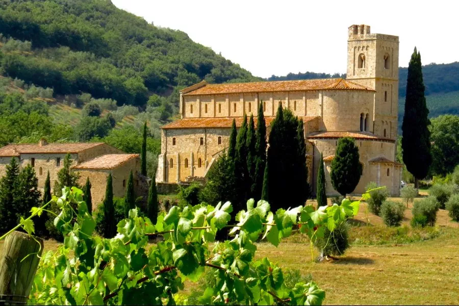Immagine Il Rosso e il Brunello di Montalcino 9 Immagine Il Rosso e il Brunello di Montalcino 9