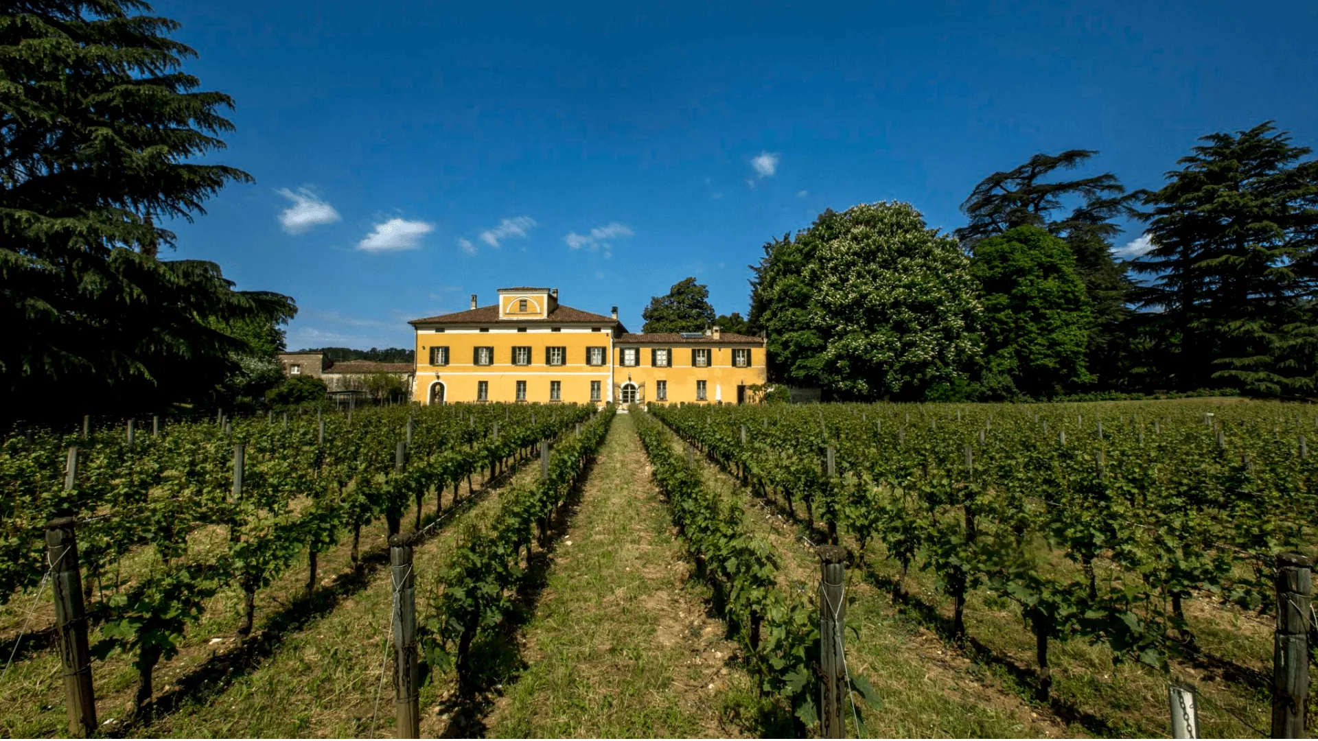 Immagine cantina Mosnel