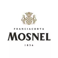 Mosnel logo Mosnel logo