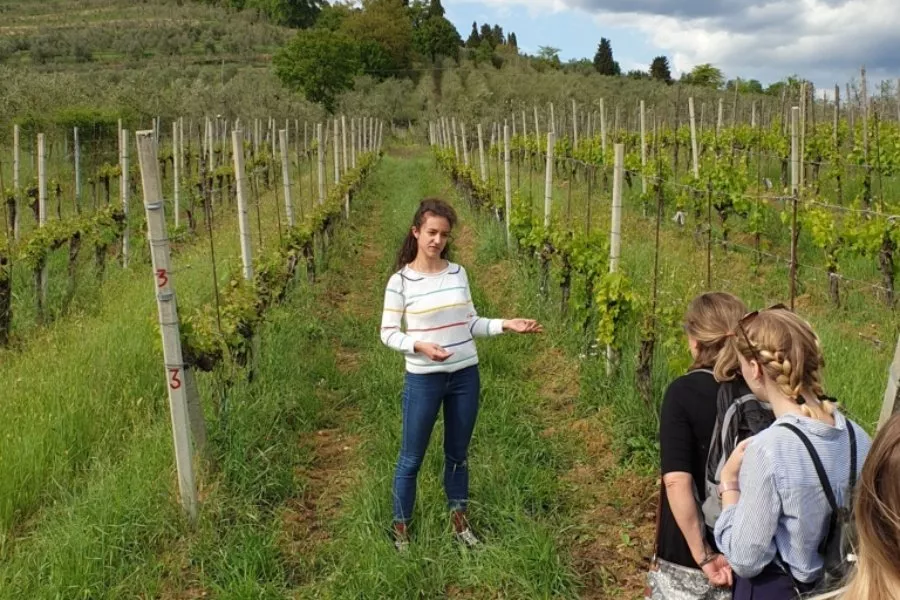 Immagine Fattoria di Poggiopiano 5 Immagine Fattoria di Poggiopiano 5