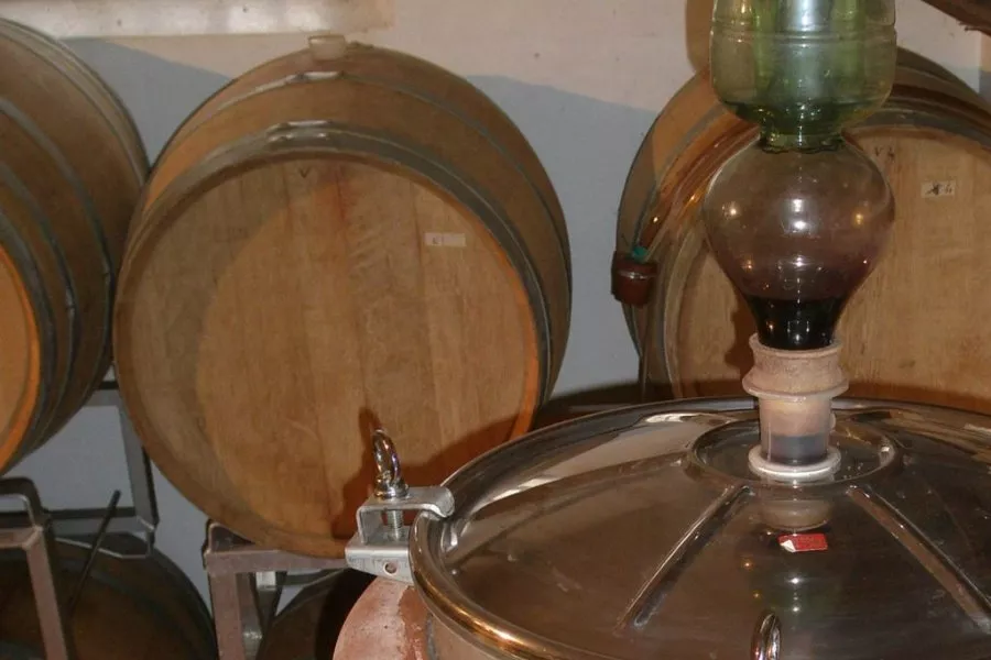Immagine Dentro la bottiglia! Visita all'azienda con degustazione guidata 15 Immagine Dentro la bottiglia! Visita all'azienda con degustazione guidata 15