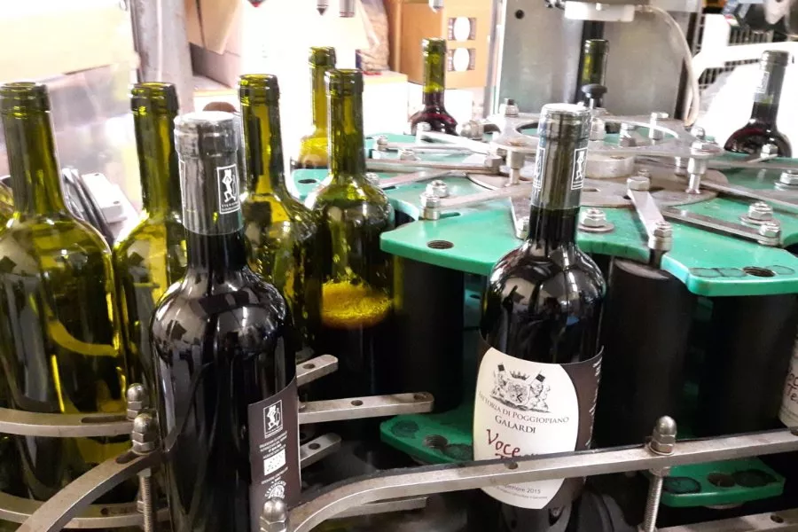 Immagine Dentro la bottiglia! Visita all'azienda con degustazione guidata 16 Immagine Dentro la bottiglia! Visita all'azienda con degustazione guidata 16