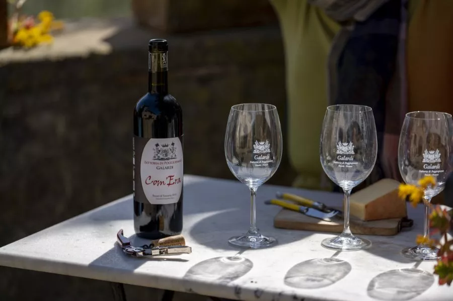 Immagine Dentro la bottiglia! Visita all'azienda con degustazione guidata 18 Immagine Dentro la bottiglia! Visita all'azienda con degustazione guidata 18