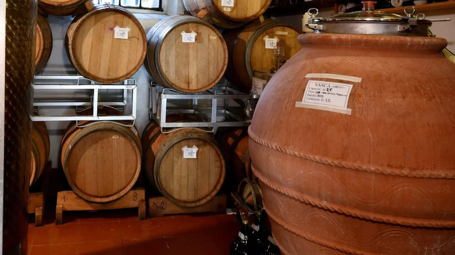 Immagine Dentro la bottiglia! Visita all'azienda con degustazione guidata 2 Immagine Dentro la bottiglia! Visita all'azienda con degustazione guidata 2