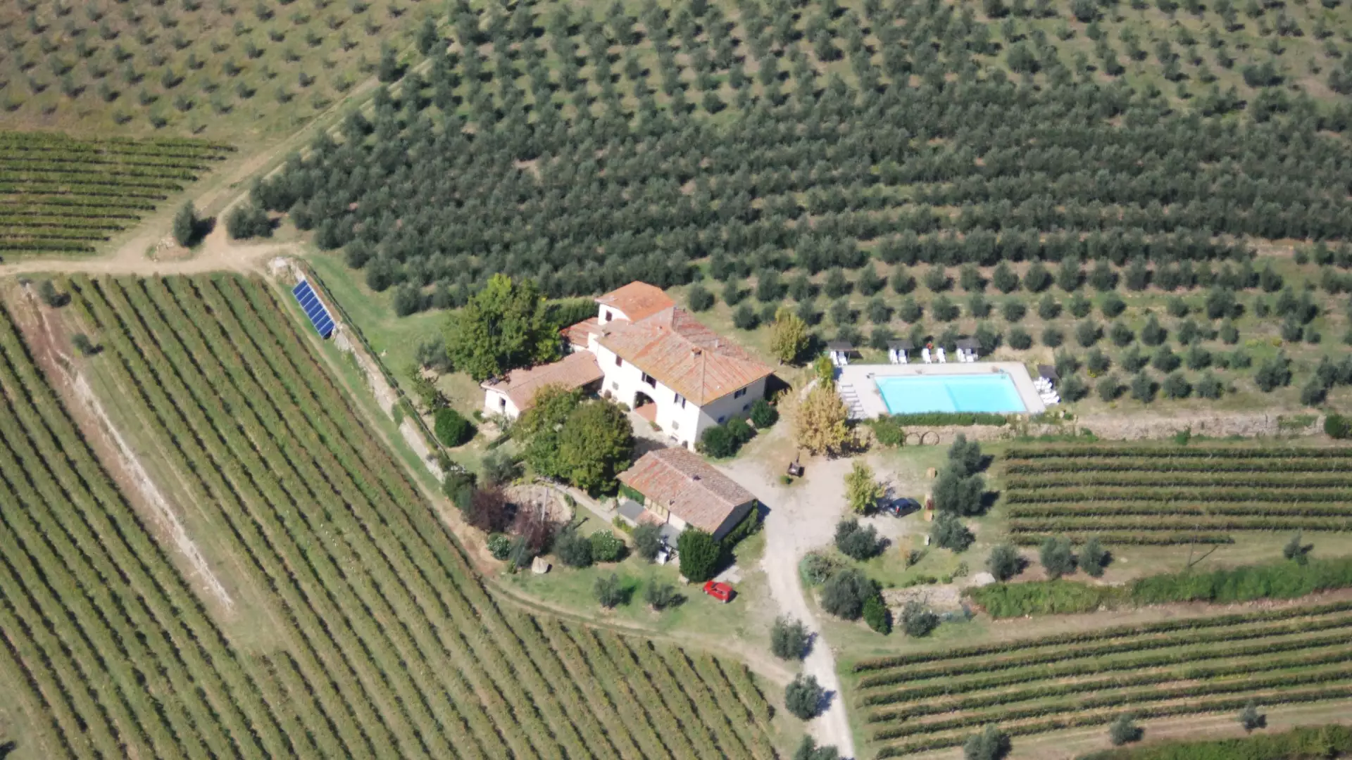 Immagine Un calice in vigna 7 Immagine Un calice in vigna 7