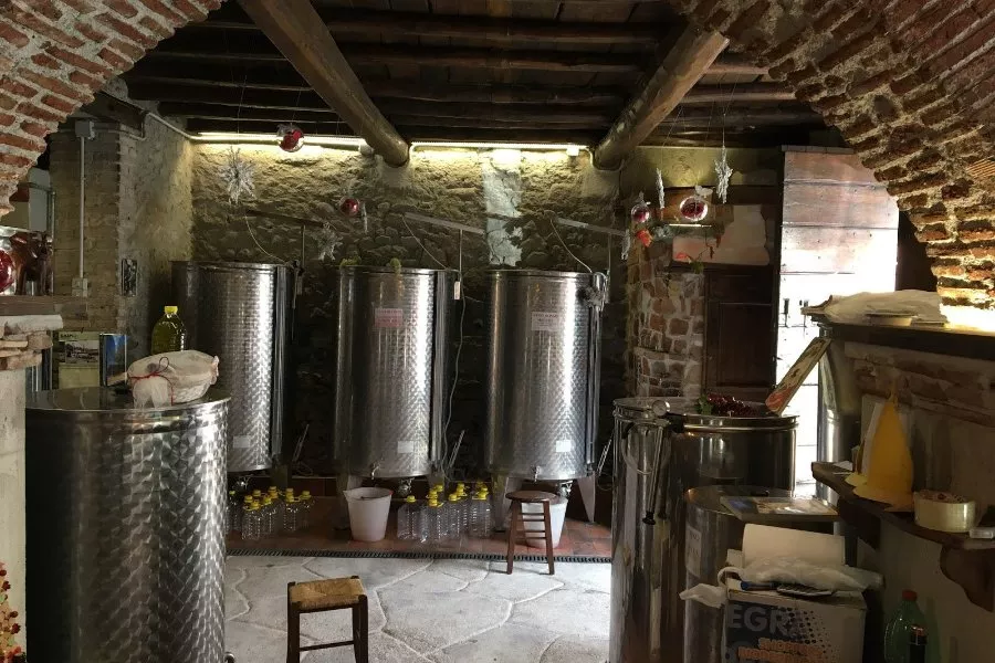 Immagine Degustazione superior 6