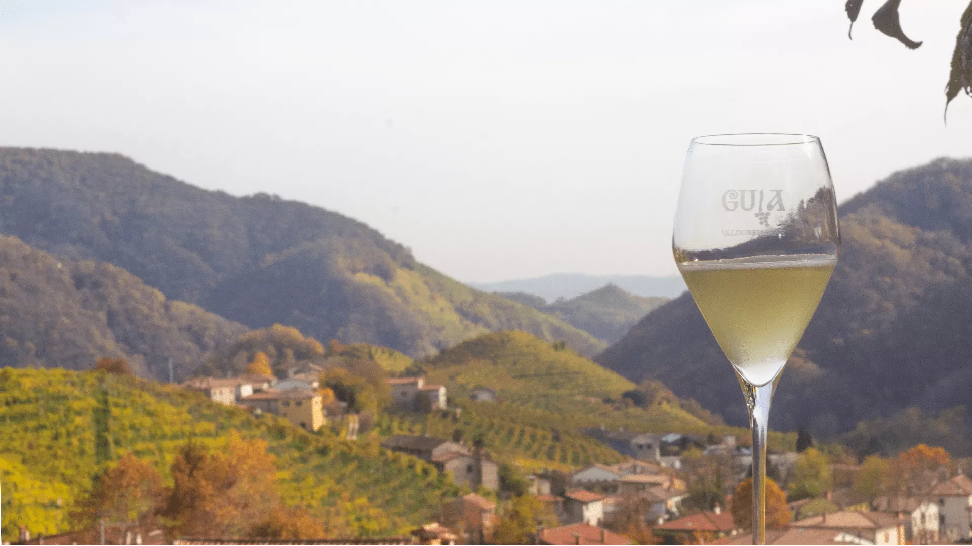 Immagine Cantina Guia 1 Immagine Cantina Guia 1
