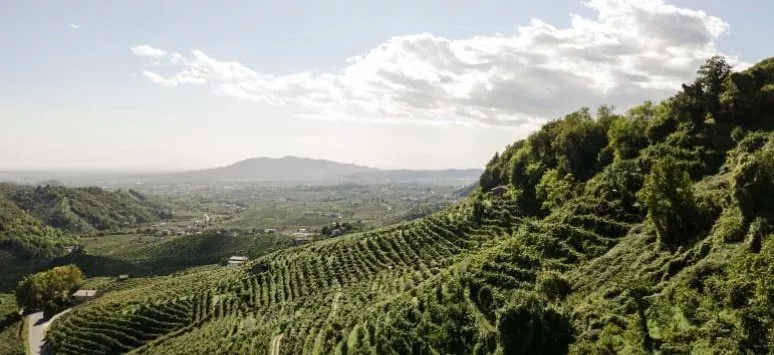 Immagine visita Conoscere il Valdobbiadene cantina Cantina Guia