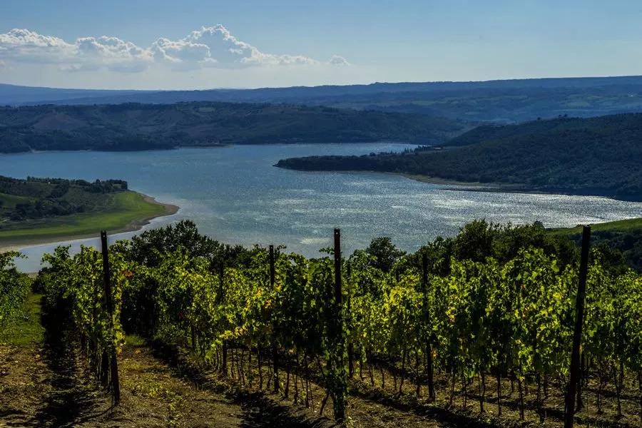Immagine Tenuta di Salviano 4 Immagine Tenuta di Salviano 4
