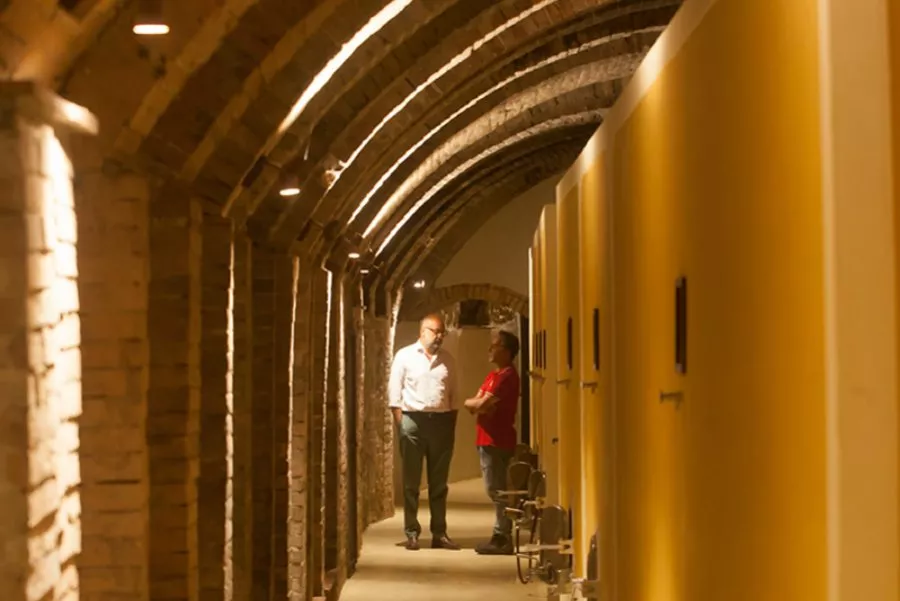 Immagine Tour e degustazione con light lunch 15 Immagine Tour e degustazione con light lunch 15