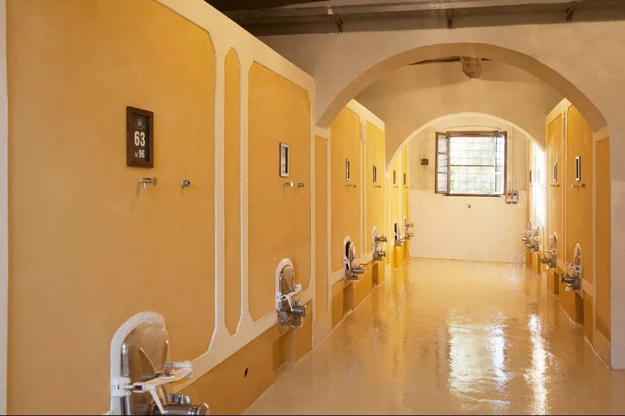 Immagine Tour e degustazione con light lunch 21 Immagine Tour e degustazione con light lunch 21