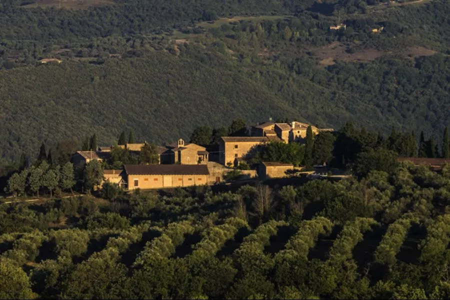Immagine Tour e degustazione con light lunch 22 Immagine Tour e degustazione con light lunch 22