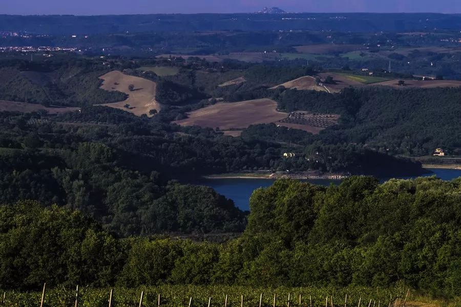 Immagine Tour e degustazione con light lunch 23 Immagine Tour e degustazione con light lunch 23