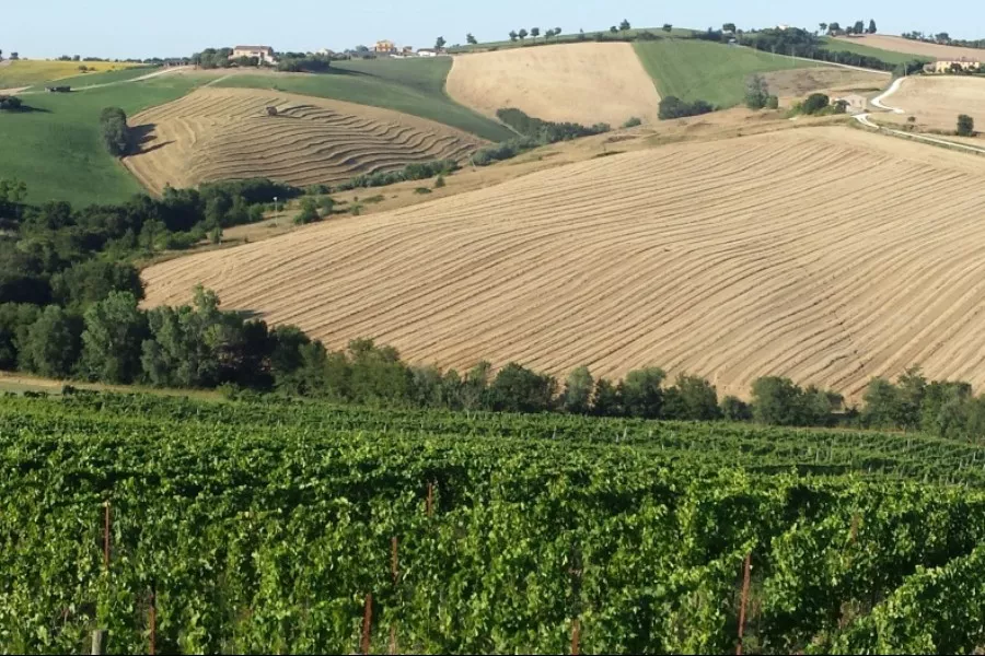 Immagine Pievalta 3