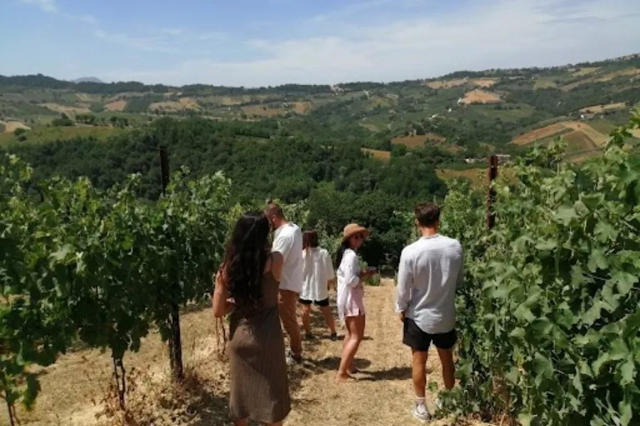 Immagine Pievalta 4