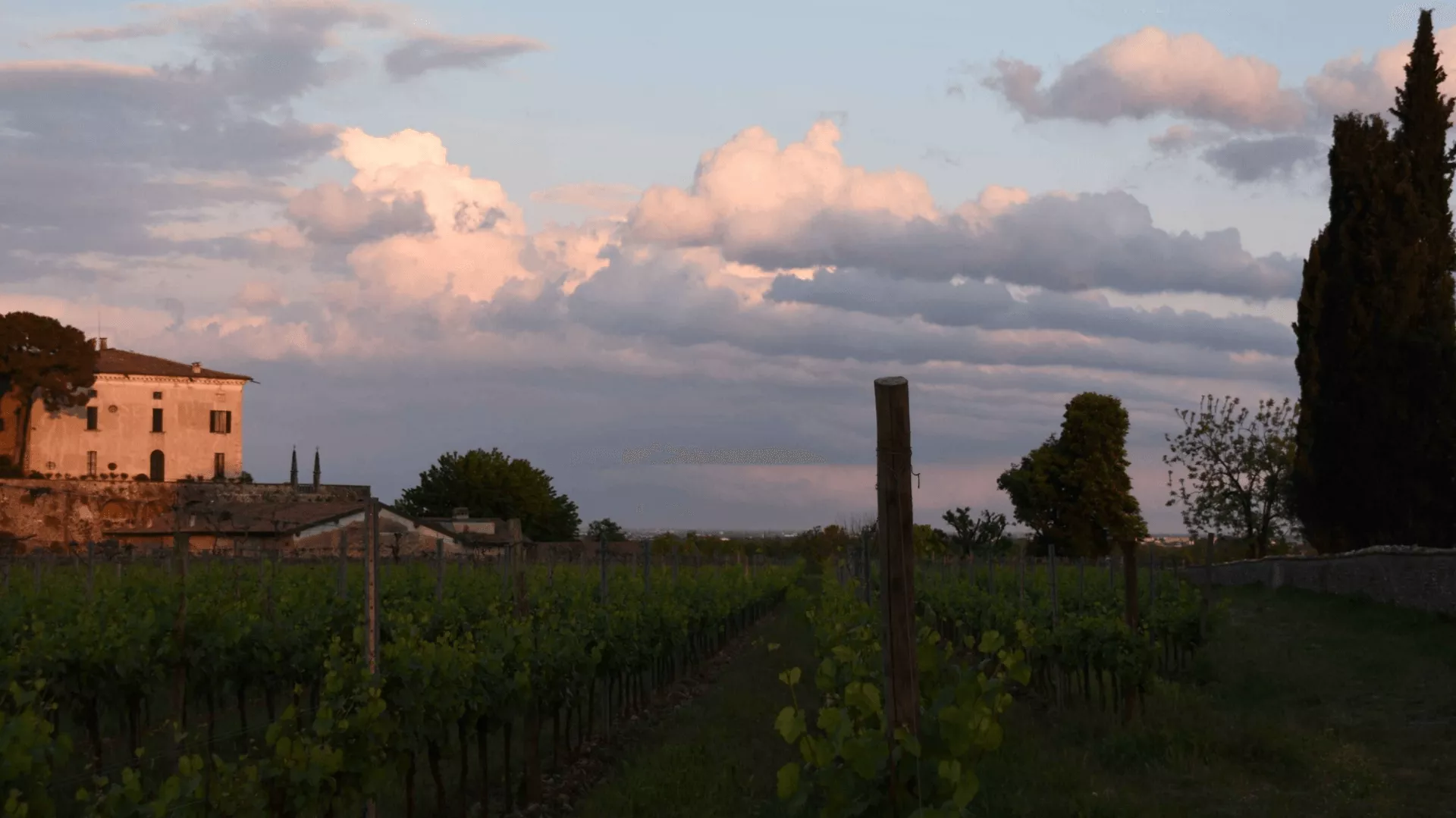 Immagine cantina Biondelli