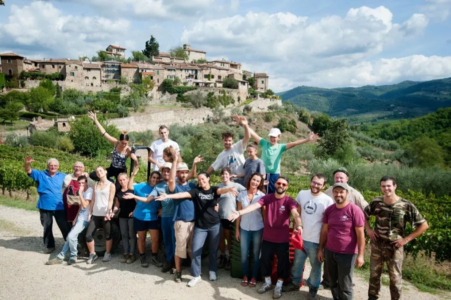 Immagine Cantina Montefioralle 4