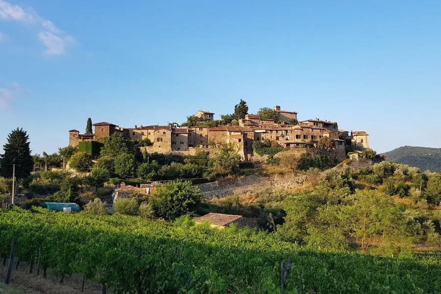 Immagine Cantina Montefioralle 6 Immagine Cantina Montefioralle 6