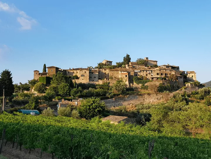 Immagine Cantina Montefioralle 2