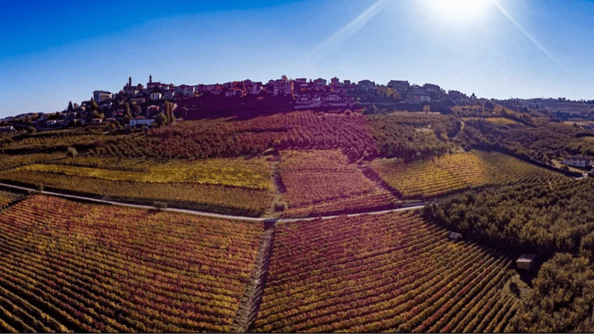 Immagine cantina Cantina Renzo Drocco