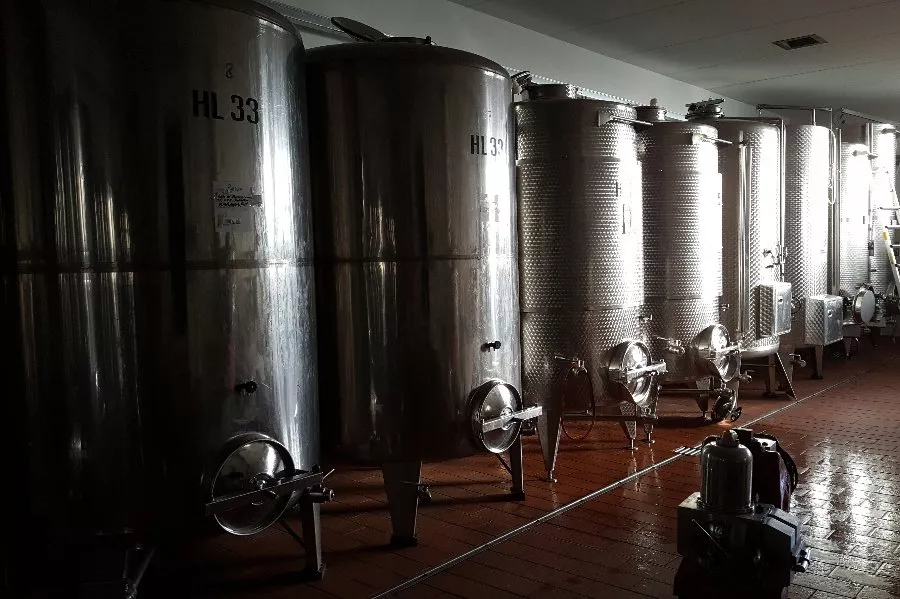 Immagine Langhe Verkostung 9 Immagine Langhe Verkostung 9