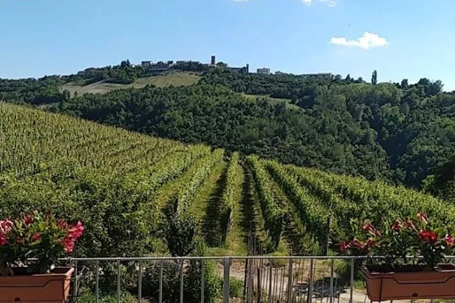 Immagine Langhe Verkostung 10 Immagine Langhe Verkostung 10