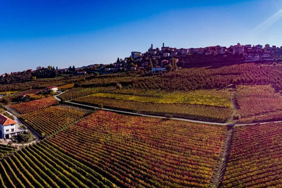 Immagine Langhe Verkostung 11 Immagine Langhe Verkostung 11