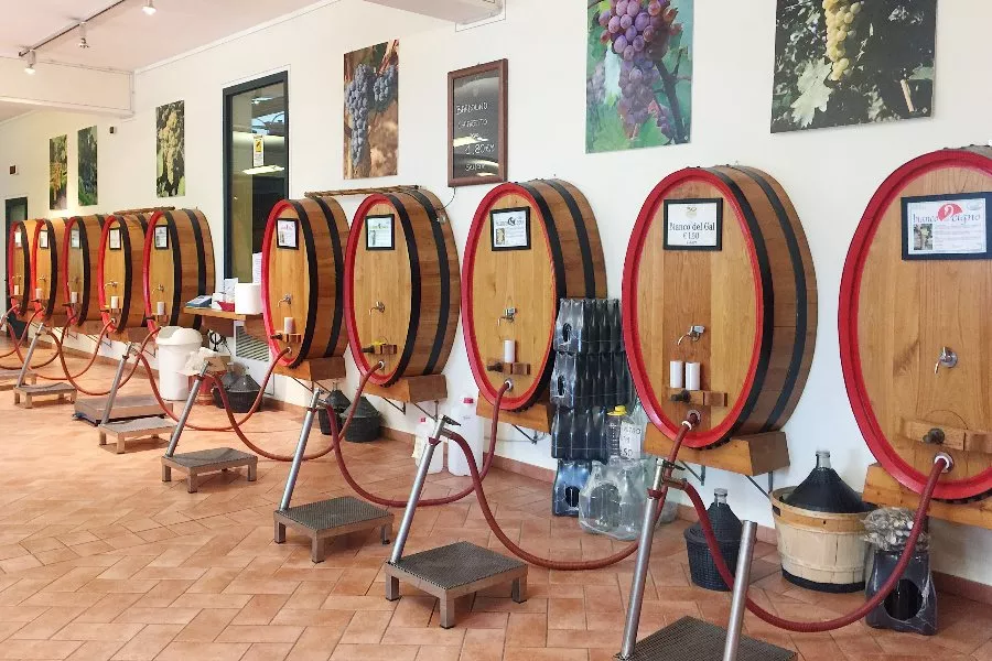 Immagine Degustazione Basic 10 Immagine Degustazione Basic 10