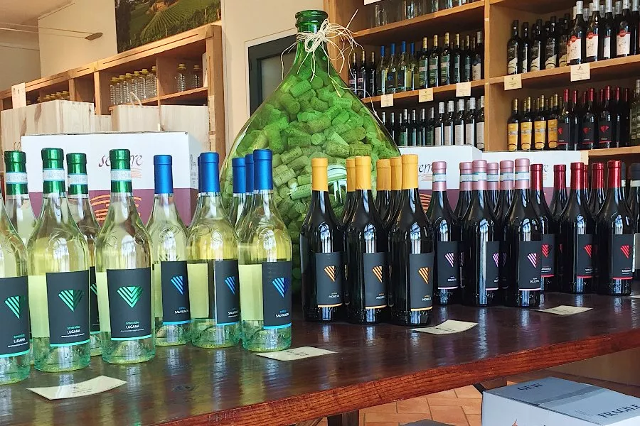 Immagine Degustazione Basic 11 Immagine Degustazione Basic 11