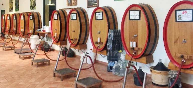 Immagine visita Degustazione Basic cantina Sei Terre, Tenuta San Leone