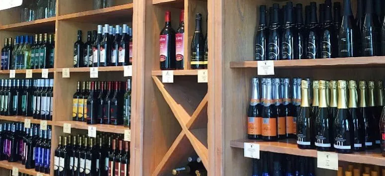 Immagine visita GOLDVERKOSTUNG cantina Sei Terre, Tenuta San Leone