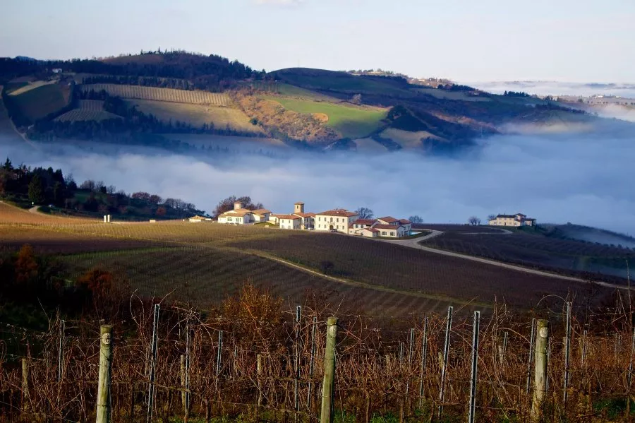 Immagine Visita classica con degustazione di 3 vini 11 Immagine Visita classica con degustazione di 3 vini 11