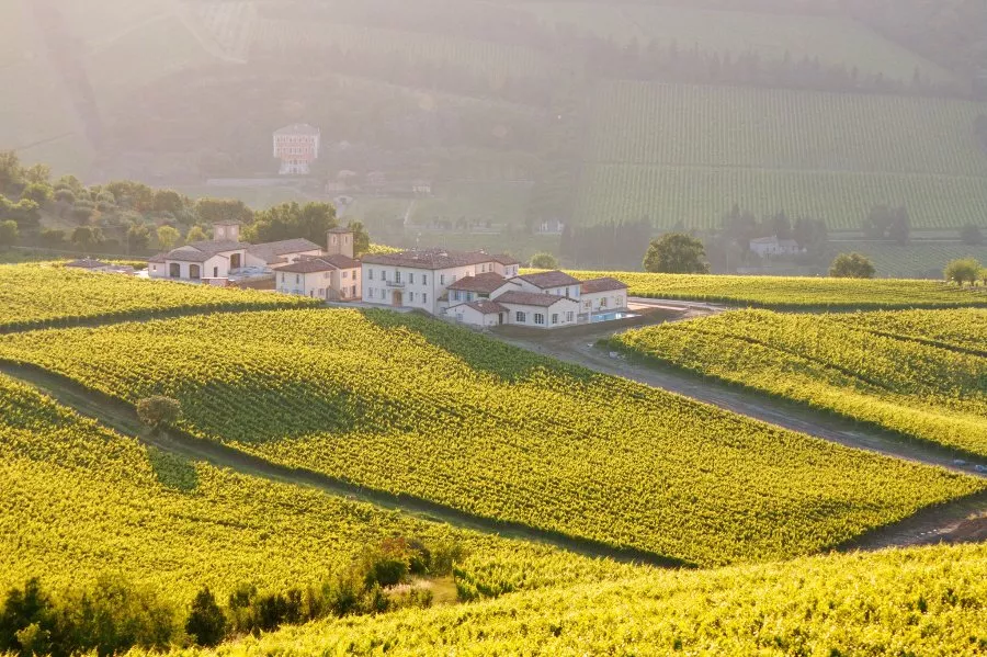 Immagine Visita classica con degustazione di 3 vini 13 Immagine Visita classica con degustazione di 3 vini 13