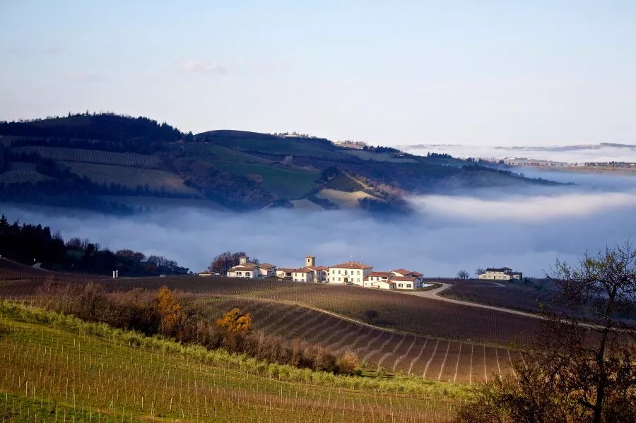 Immagine Visita classica con degustazione di 3 vini 14 Immagine Visita classica con degustazione di 3 vini 14