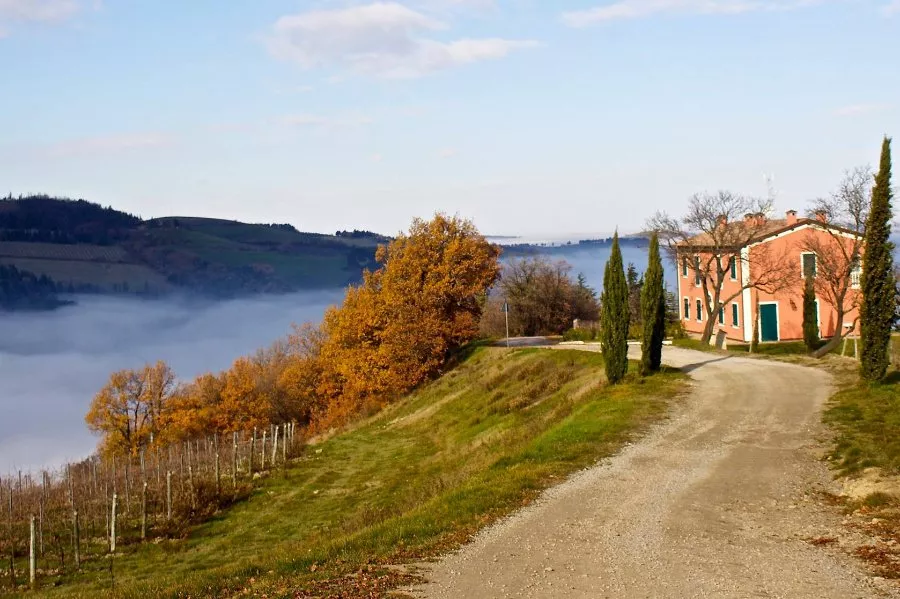 Immagine Visita classica con degustazione di 3 vini 16 Immagine Visita classica con degustazione di 3 vini 16