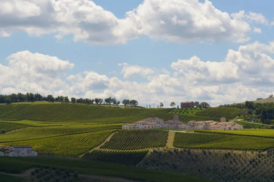 Immagine Visita classica con degustazione di 3 vini 17 Immagine Visita classica con degustazione di 3 vini 17
