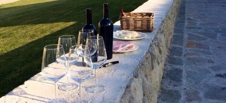 Immagine visita Visita classica con degustazione di 3 vini cantina Chiara Condello Immagine visita Visita classica con degustazione di 3 vini cantina Chiara Condello